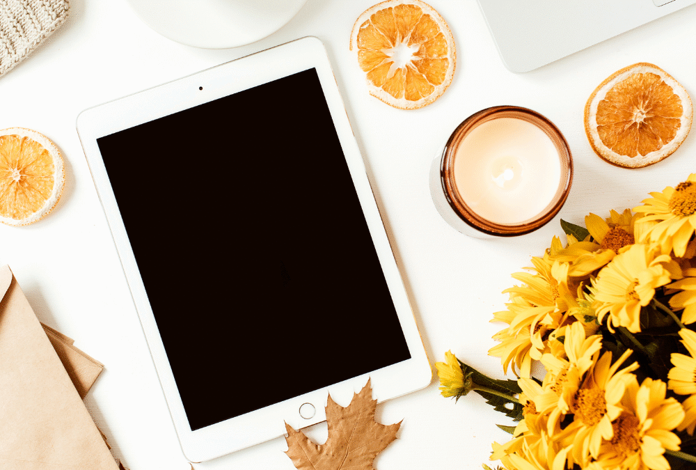 Fall Desk. Why structured Meta campaigns drive results.